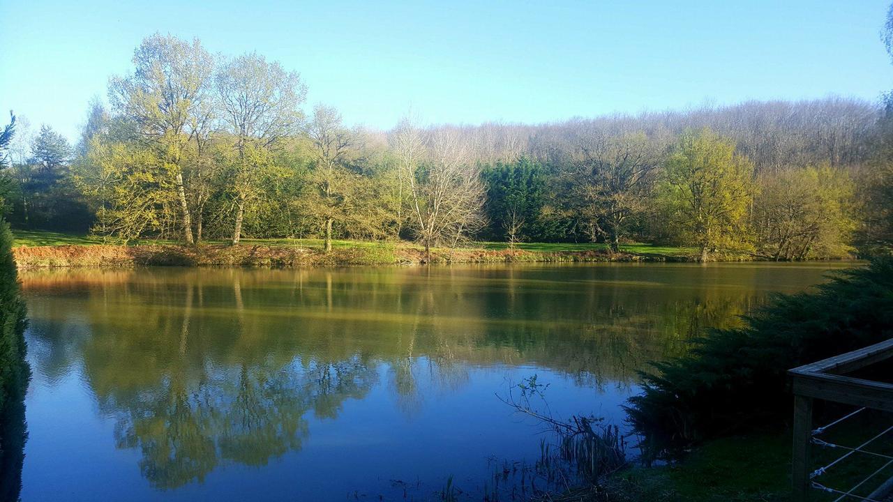 Camping De La Reuille Flere-la-Riviere ภายนอก รูปภาพ